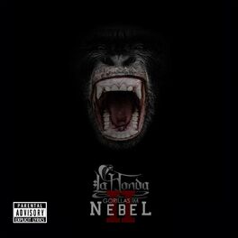 Album cover of Gorillas im Nebel II