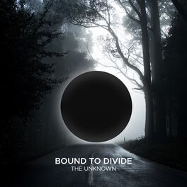 Album cover of The Unknown