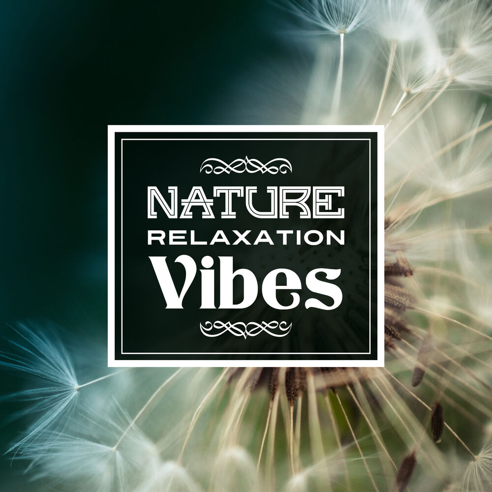 Relaxation nature. Best Music Relaxation. Relax Vibe. Wave Vibe Relax музыка.