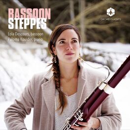 Album cover of Bassoon Steppes