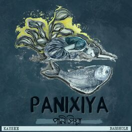 Album cover of Panixiya
