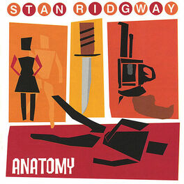Album cover of anatomy