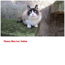 Album cover of Thomas Oboe Lee: Sodium