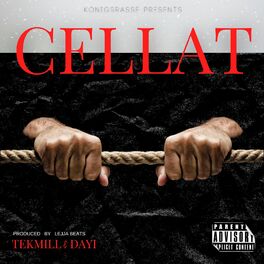 Album cover of Cellat