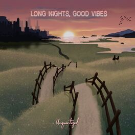 Album cover of Long nights, good vibes