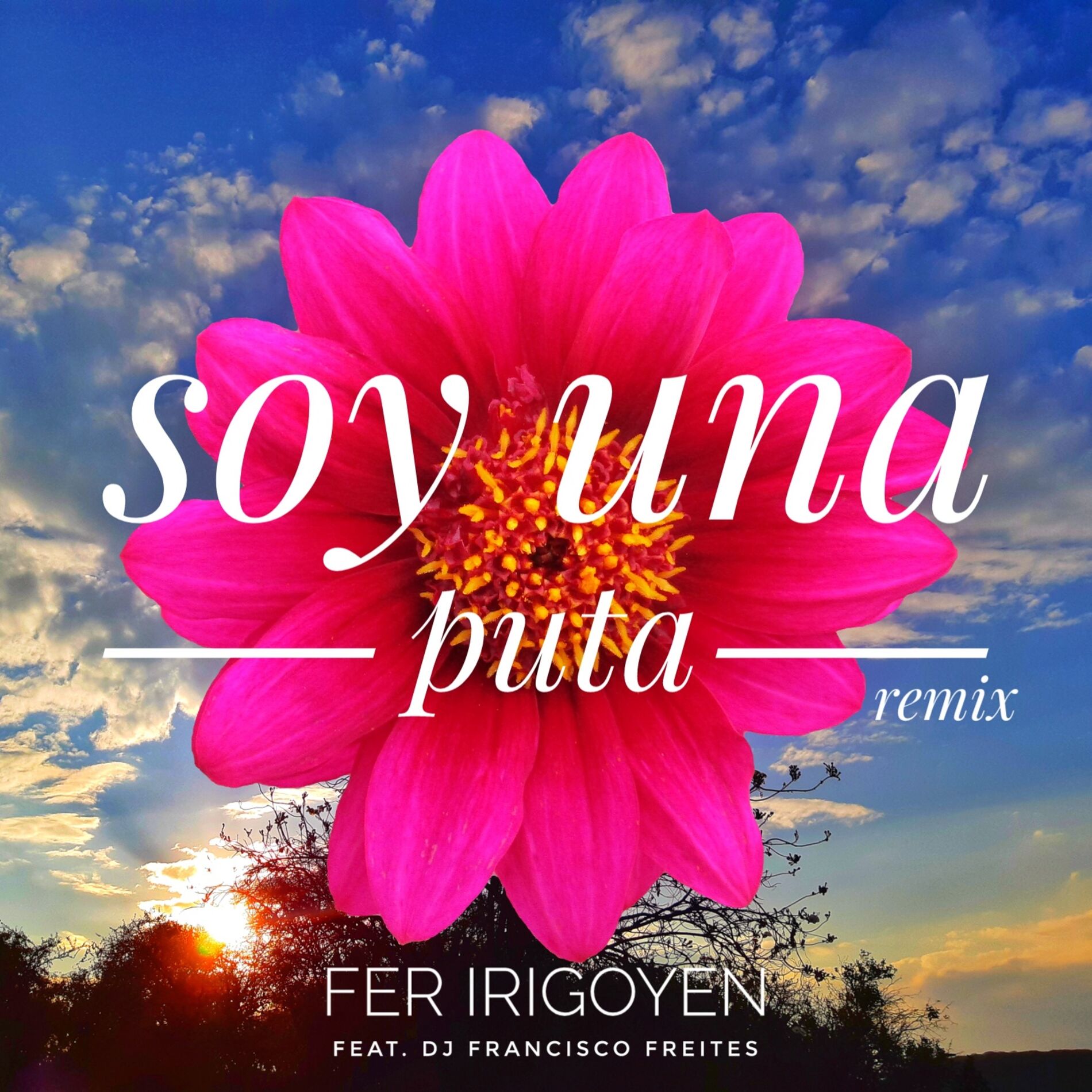 Fer Irigoyen - Soy Una Puta (Remix): listen with lyrics | Deezer