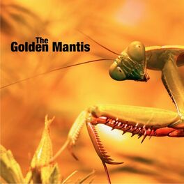 Album cover of The Golden Mantis