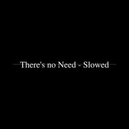 Album cover of There's no Need - Slowed