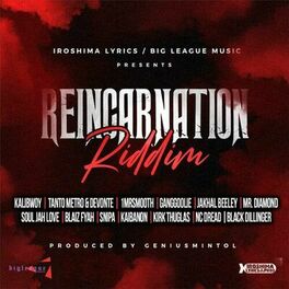 Album cover of Reincarnation Riddim