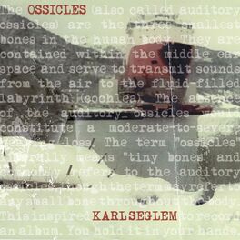 Album cover of Ossicles