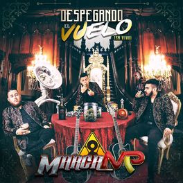 Album cover of Despegando el Vuelo (En Vivo)