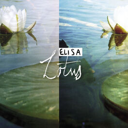 Album cover of Lotus