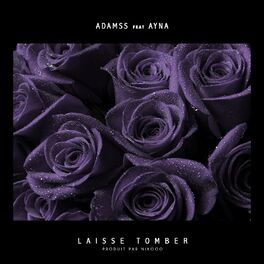 Album cover of Laisse tomber