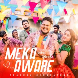 Album cover of Meka Aware
