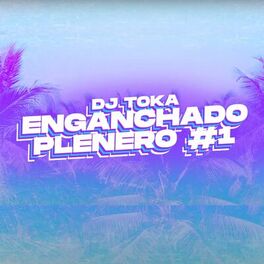 Album cover of Enganchado Plenero #1