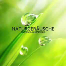 Album cover of Naturgeräusche Entspannungsmusik: Tiefenentspannung, Beruhigende Klänge zum Entspannen, Beruhigen, Einschlafen, Meditieren