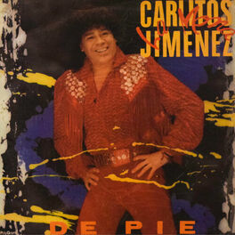 Album cover of De Pie