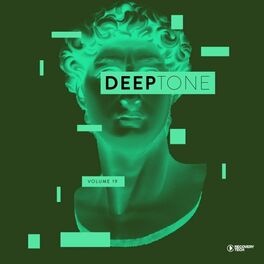 Album cover of Deeptone, Vol. 19