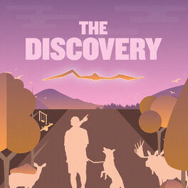 Album cover of The Discovery