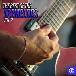 Album cover of The Best of The Tremeloes, Vol. 2
