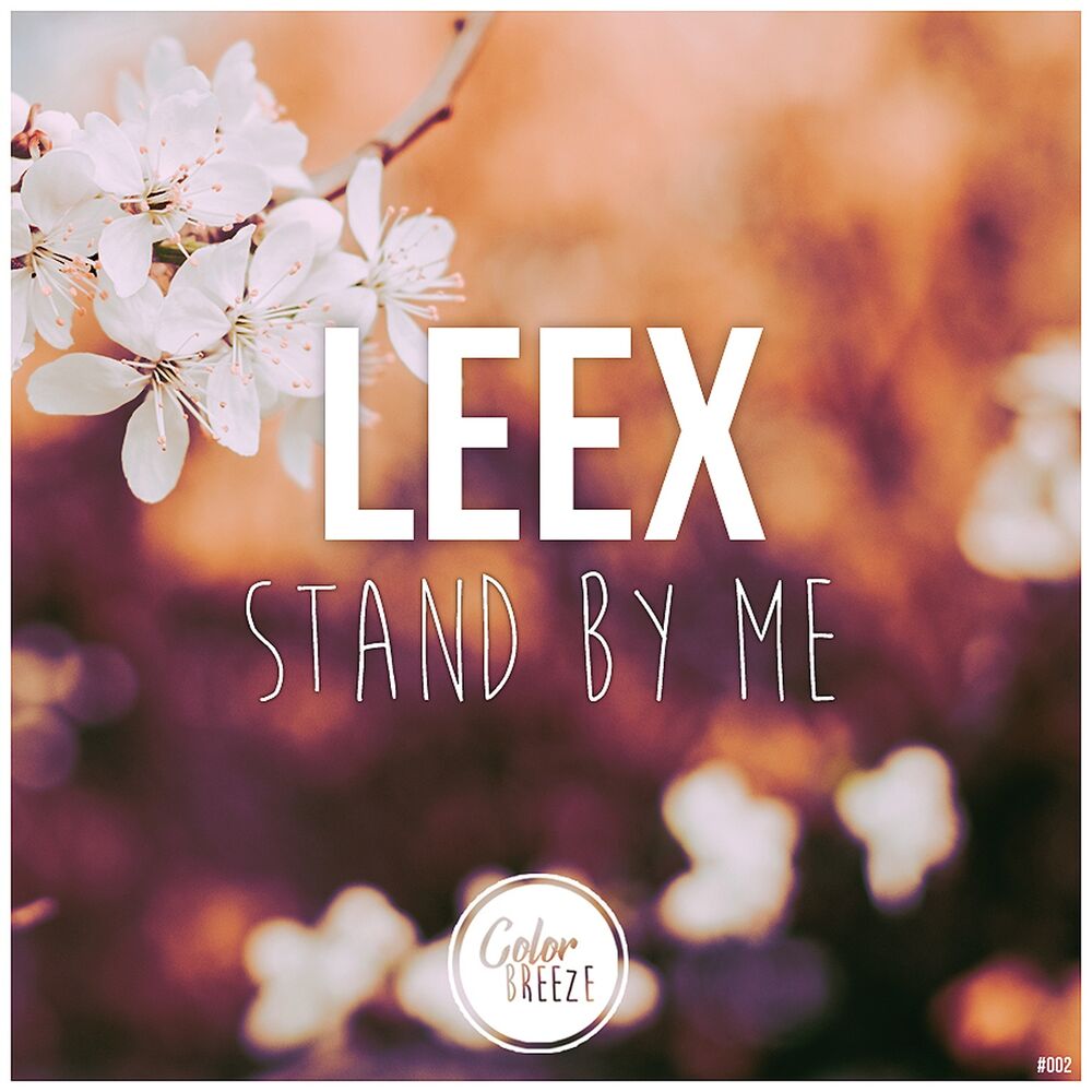 Ремикс Stand by me. LEEX.