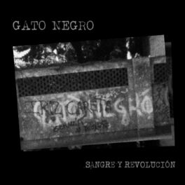 Album cover of Sangre y Revolución