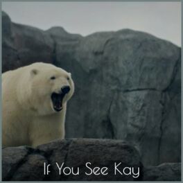 Album cover of If You See Kay