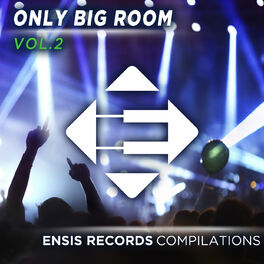 Album cover of Only Big Room - Vol. 2