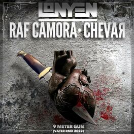 Album cover of 9 Meter Gun (Vater RMX 2022)