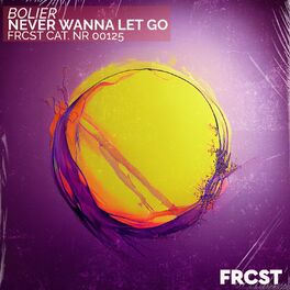 Album cover of Never Wanna Let Go