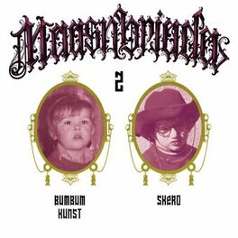 Album cover of Maasnbriada Teil 2