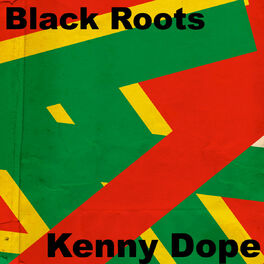 Album cover of Black Roots