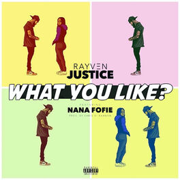 Album cover of What You Like (feat. Nana Fofie)