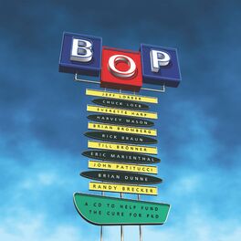 Album cover of BOP - to Help Fund the Cure for PKD