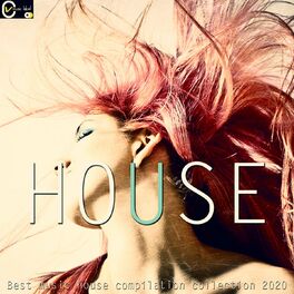 Album cover of House (Best Music House Compilation Collection 2020)