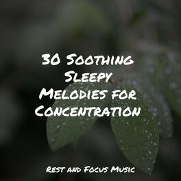Album cover of 30 Soothing Sleepy Melodies for Concentration