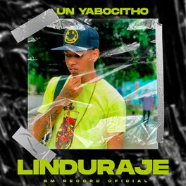 Album picture of Linduraje