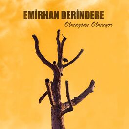 Album cover of Olmazsan Olmuyor