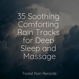 Album cover of 35 Soothing Comforting Rain Tracks for Deep Sleep and Massage