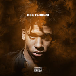 Album cover of NLE Choppa