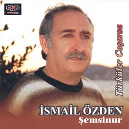 Album cover of Şemsinur - Türküler Coşarsa