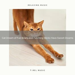 Sleepy Cats: albums, songs, playlists