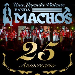 Album cover of 25 Aniversario: Una Leyenda Viviente