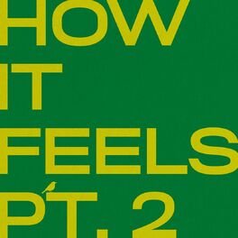 Album cover of How It Feels Pt. 2