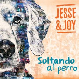 Album cover of Soltando Al Perro