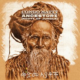Album cover of Ancestorz (Rootz of Jungle)