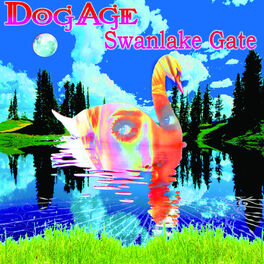 Album cover of Swanlake Gate