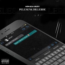 Album cover of PELESENK DİLLERDE