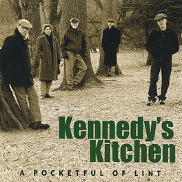 Album cover of A Pocketful of Lint