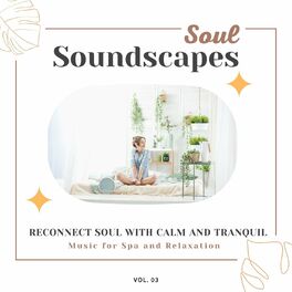 Album cover of Soul Soundscapes, V03 - Reconnect Soul With Calm And Tranquil Music For Spa And Relaxation